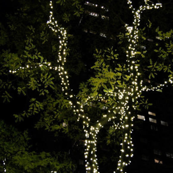 Meet your Posher, Josh - Picture 1 of 1